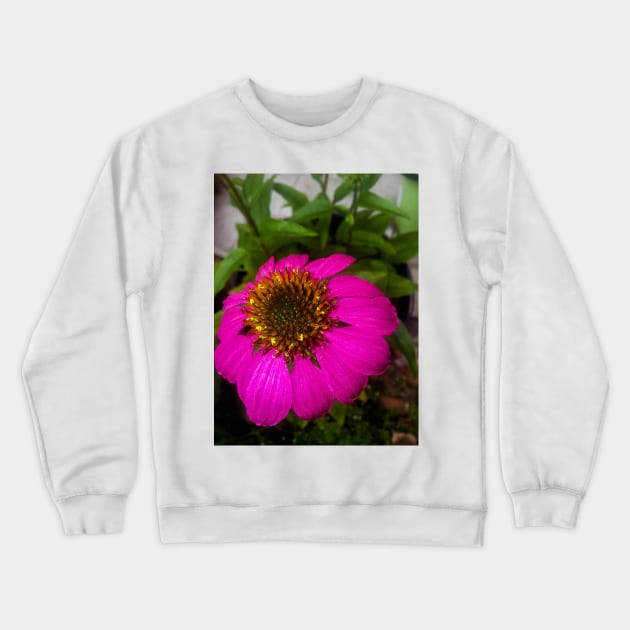 Herb2 Crewneck Sweatshirt by tryspiritual